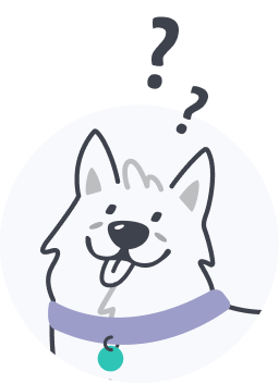 Faqs Thinkpet - 8K Abstract Pictures for Desktop